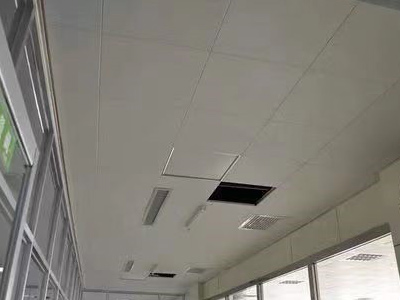 SMC高阻燃抗菌天花板吊顶